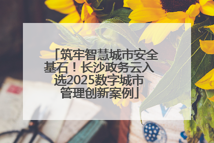 筑牢智慧城市安全基石！长沙政务云入选2025数字城市管理创新案例