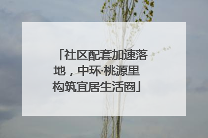 社区配套加速落地，中环·桃源里构筑宜居生活圈