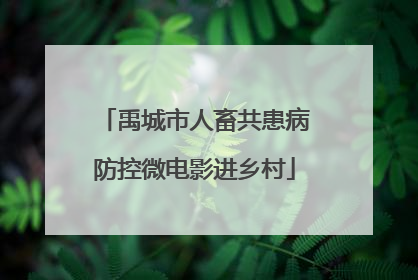 禹城市人畜共患病防控微电影进乡村