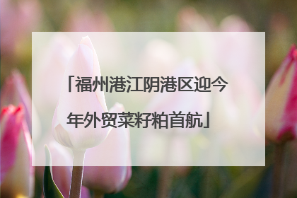 福州港江阴港区迎今年外贸菜籽粕首航