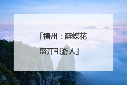 福州：醉蝶花盛开引游人