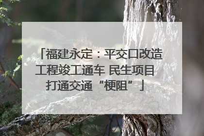 福建永定：平交口改造工程竣工通车 民生项目打通交通“梗阻”
