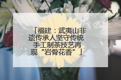 福建：武夷山非遗传承人坚守传统 手工制茶技艺再现“岩骨花香”