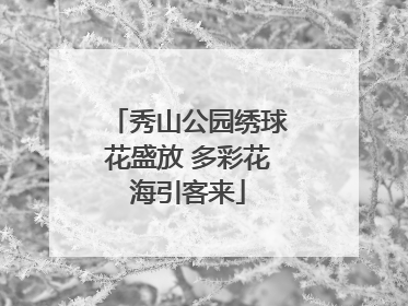 秀山公园绣球花盛放 多彩花海引客来