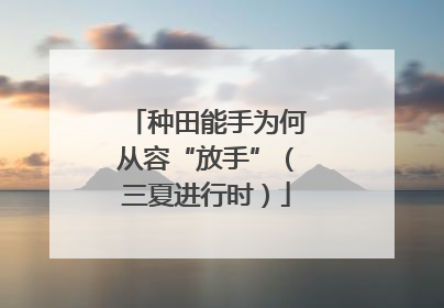 种田能手为何从容“放手”（三夏进行时）