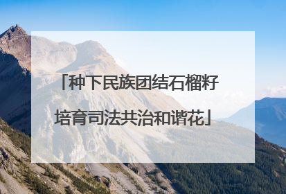 种下民族团结石榴籽 培育司法共治和谐花