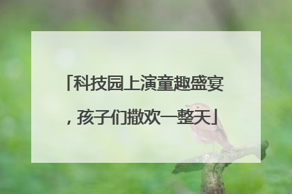 科技园上演童趣盛宴，孩子们撒欢一整天