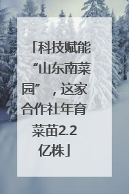 科技赋能“山东南菜园”，这家合作社年育菜苗2.2亿株