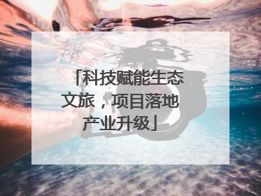 科技赋能生态文旅，项目落地产业升级