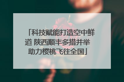 科技赋能打造空中鲜道 陕西顺丰多措并举助力樱桃飞往全国