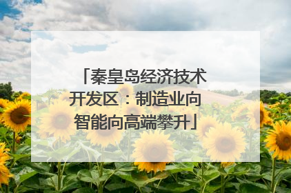 秦皇岛经济技术开发区：制造业向智能向高端攀升