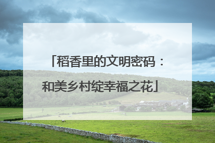 稻香里的文明密码：和美乡村绽幸福之花