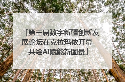 第三届数字新疆创新发展论坛在克拉玛依开幕 共绘AI赋能新图景