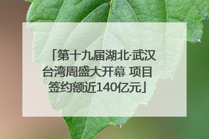 第十九届湖北·武汉台湾周盛大开幕 项目签约额近140亿元