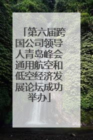 第六届跨国公司领导人青岛峰会通用航空和低空经济发展论坛成功举办