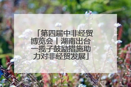 第四届中非经贸博览会丨湖南出台一揽子鼓励措施助力对非经贸发展
