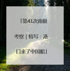 第41次南极考察｜特写：港口来了中国船