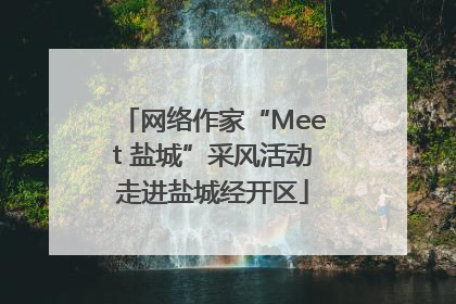 网络作家“Meet 盐城”采风活动走进盐城经开区