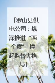 罗山县供电公司：纵深推进“两个度” 撑起监督大格局