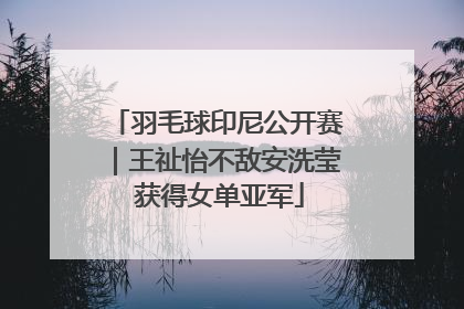 羽毛球印尼公开赛｜王祉怡不敌安洗莹 获得女单亚军