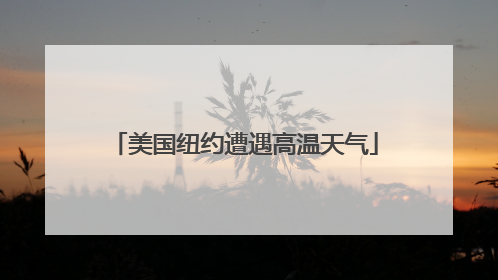 美国纽约遭遇高温天气