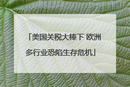 美国关税大棒下 欧洲多行业恐陷生存危机