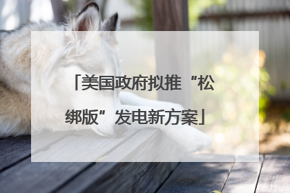 美国政府拟推“松绑版”发电新方案