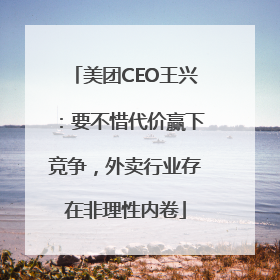 美团CEO王兴：要不惜代价赢下竞争，外卖行业存在非理性内卷