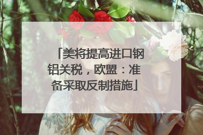 美将提高进口钢铝关税，欧盟：准备采取反制措施