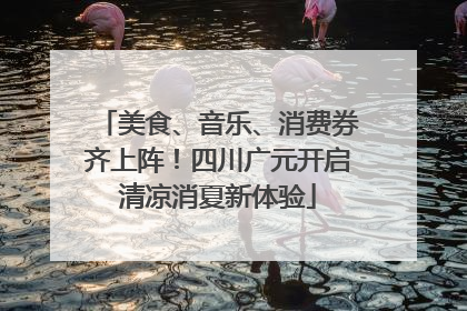 美食、音乐、消费券齐上阵！四川广元开启清凉消夏新体验
