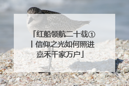 红船领航二十载①丨信仰之光如何照进嘉禾千家万户