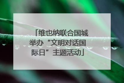 维也纳联合国城举办“文明对话国际日”主题活动