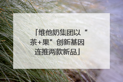 维他奶集团以“茶+果”创新基因连推两款新品