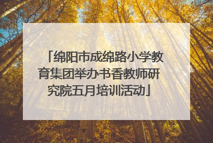绵阳市成绵路小学教育集团举办书香教师研究院五月培训活动