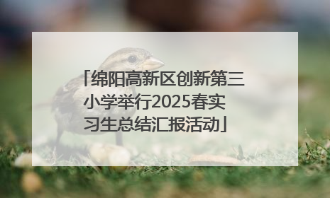 绵阳高新区创新第三小学举行2025春实习生总结汇报活动