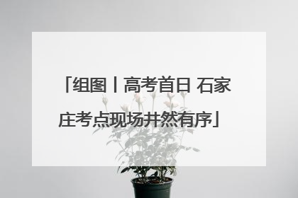 组图丨高考首日 石家庄考点现场井然有序
