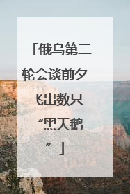俄乌第二轮会谈前夕 飞出数只 “黑天鹅”