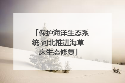 保护海洋生态系统 河北推进海草床生态修复