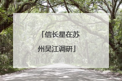 信长星在苏州吴江调研
