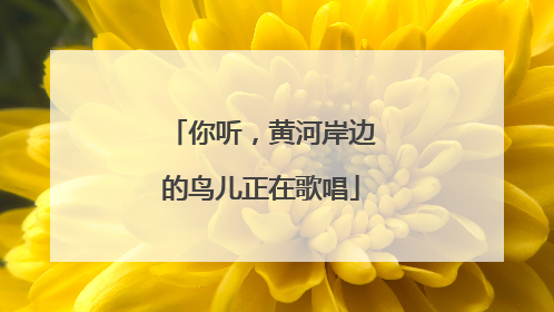 你听，黄河岸边的鸟儿正在歌唱