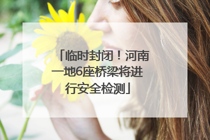 临时封闭！河南一地6座桥梁将进行安全检测