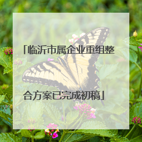 临沂市属企业重组整合方案已完成初稿
