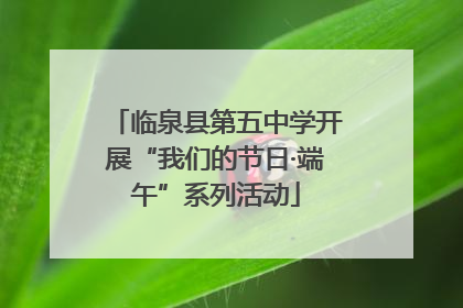 临泉县第五中学开展“我们的节日·端午”系列活动