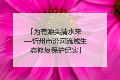 为有源头清水来——忻州市汾河流域生态修复保护纪实