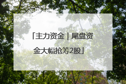 主力资金｜尾盘资金大幅抢筹2股