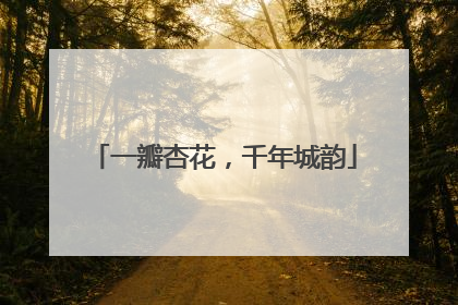 一瓣杏花，千年城韵