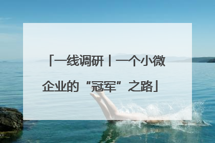 一线调研丨一个小微企业的“冠军”之路