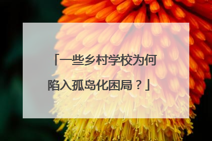 一些乡村学校为何陷入孤岛化困局？