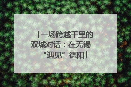 一场跨越千里的双城对话：在无锡“遇见”德阳
