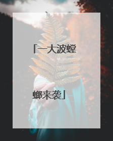 一大波螳螂来袭
